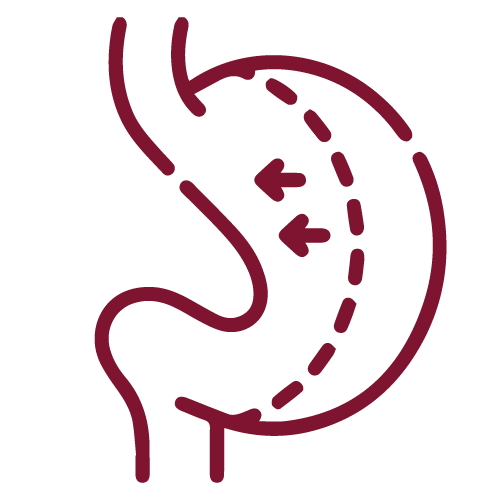 InBody Tunisie